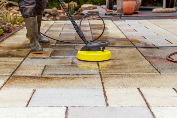 Best Pre-Holiday Cleaning  in Mayfield, PA