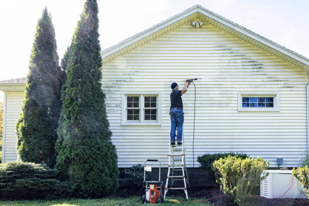 Best Gutter Cleaning  in Mayfield, PA